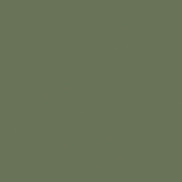 Linoleum olive green