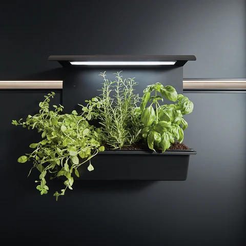 Cube 52 Paneelgarten mit Beleuchtung Eigene Kräuter ins rechte Licht gerückt