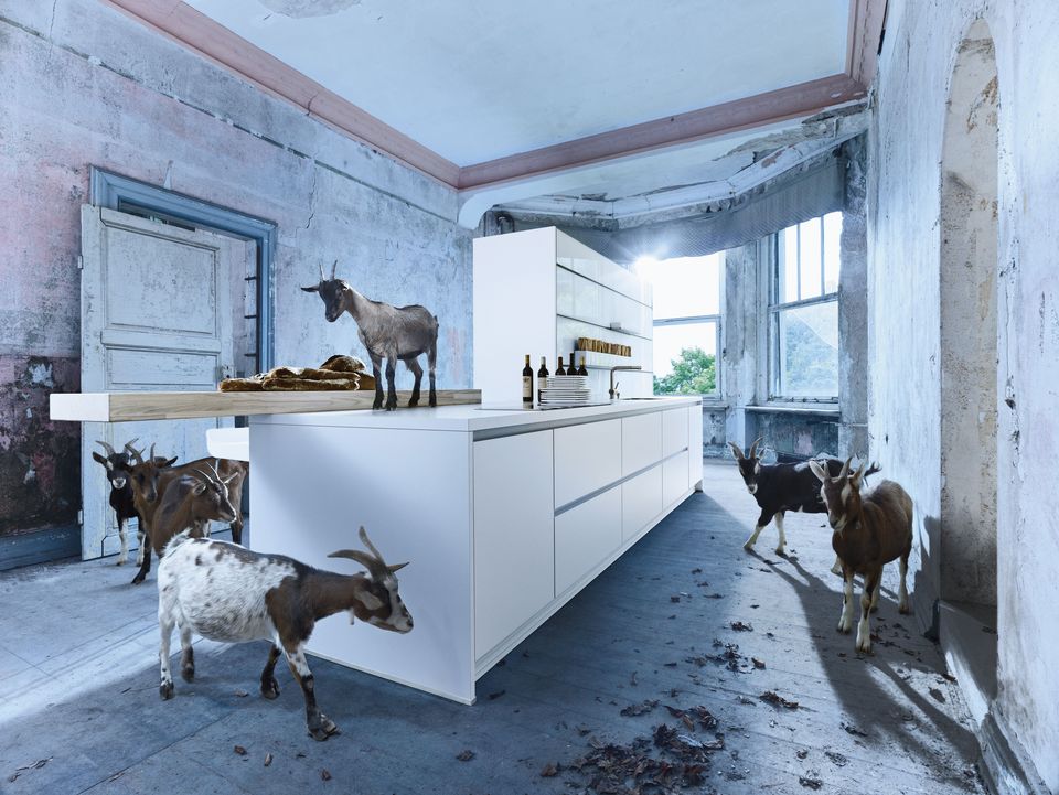 next125 campagne 2011 met geiten in de keuken