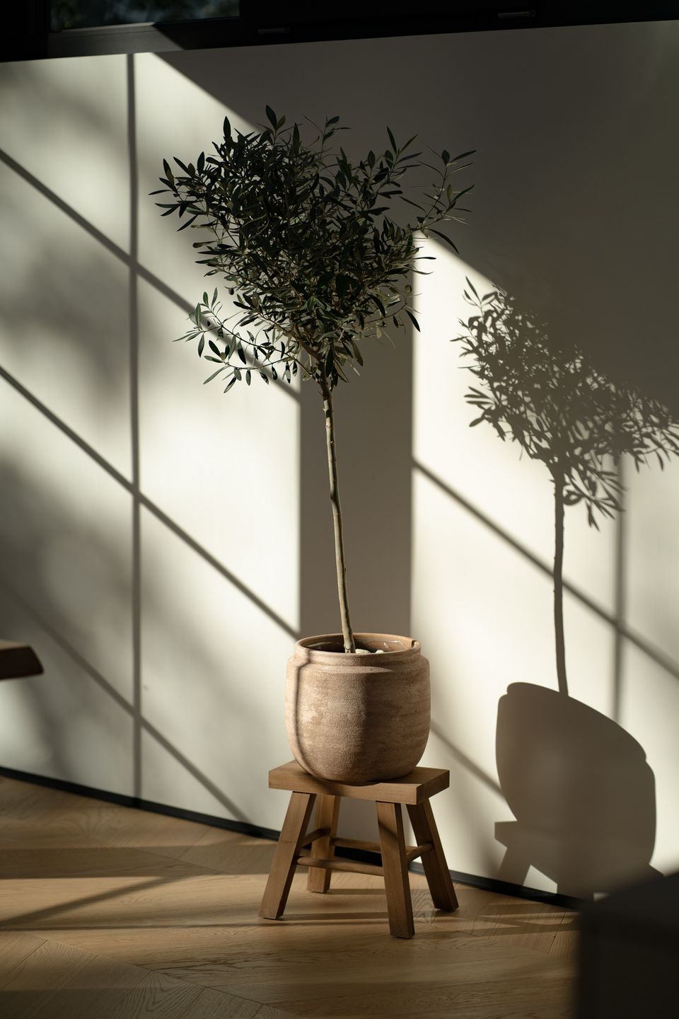 Japandi style decoration