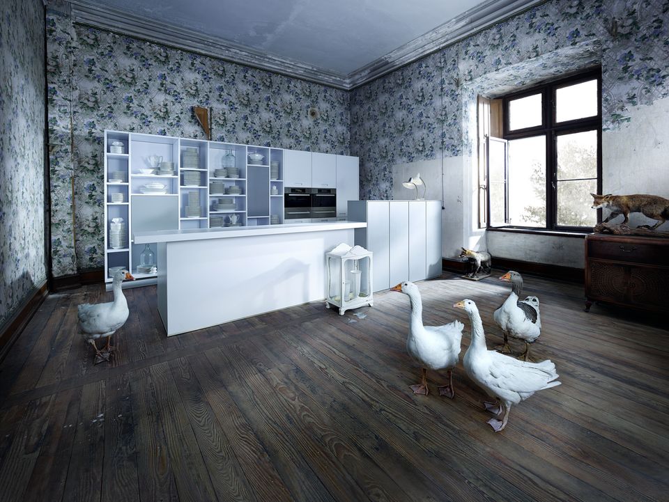 next125 campaign 2013 with geese in the kitchen