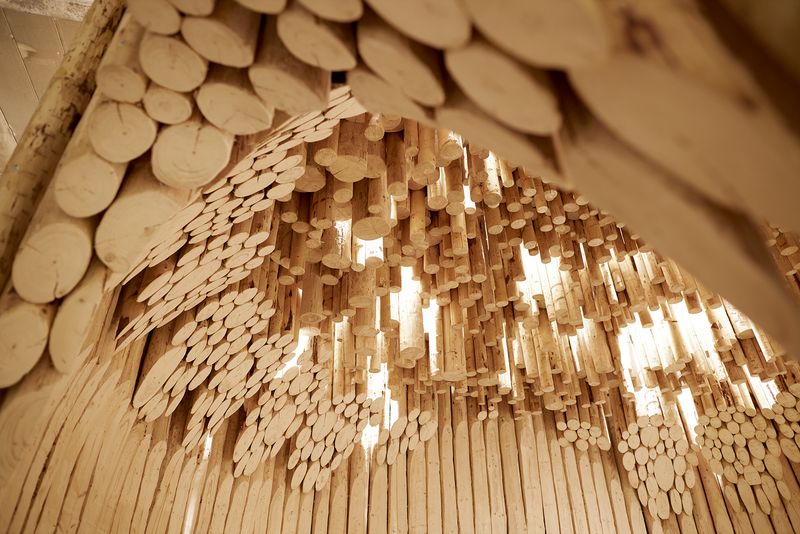 Wood Pavilion 